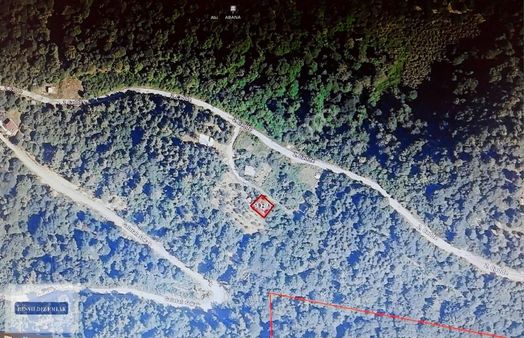 Abana Merkez Kadastral Yola Cepheli Villa İmarlı 303m2 Arsa