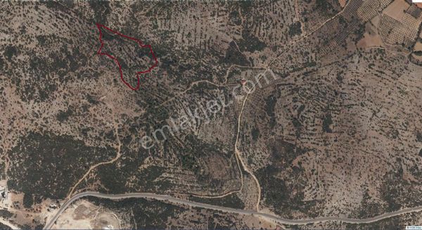 Akkaya Mah Yatırımlık Büyük Tarla