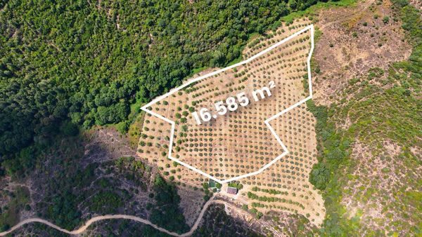 Bursa Gemlik Kumla Da Deniz Manzaralı Avantajlı Satılık Tarla