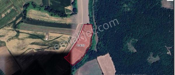 Çatalca Karacaköyde Satılık Arsa , 1,830 M2 Yolu Var Evlerin Yakını Hisseli Çaplı