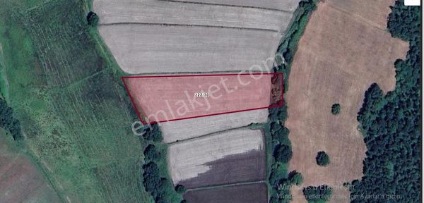 Çatalca Çiftlikköyde Satılık Arsa , 250 M2 Hisseli Yolu Var