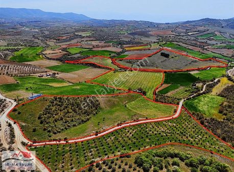 Salihli'de Satılık 159 Dönüm Arazi (elektrik-su Mevcut)