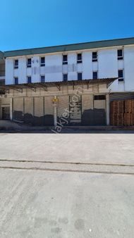 Tekkeköy Stadyuma Sanayide Kiralık Soğuk Hava Deposu