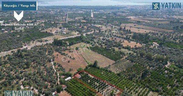 Köyceğiz Yangı Mh Doğayla İç İçe 6389 M² Satılık Tarla