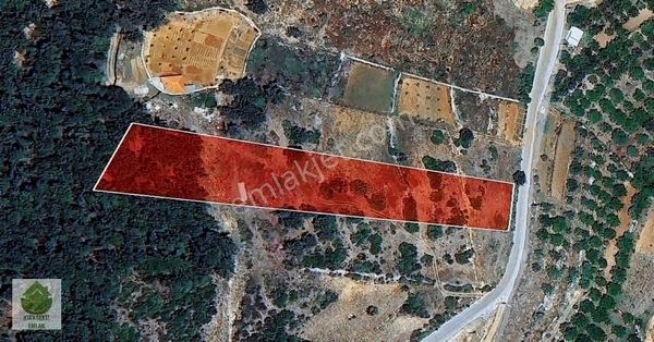 Muğla Menteşe Kozağaç Merkezinde Satılık 6837m² Tarla...