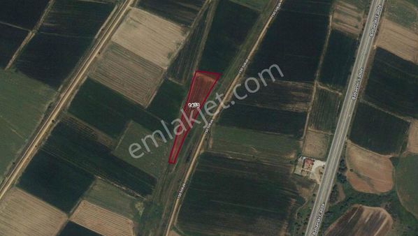 Kavaklı Köyü Sınırları İçinde Satılık Kupon Arazi!