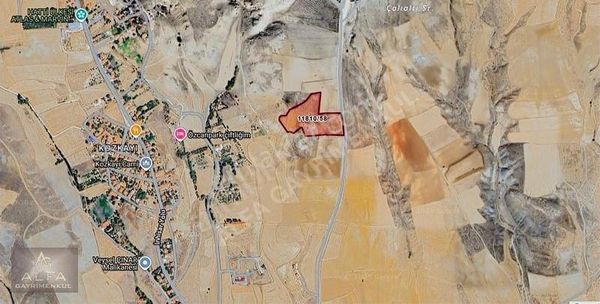 Kozkayı Mh. Köy İçi 21 Dönüm Tek Tapu Satılık Tarla