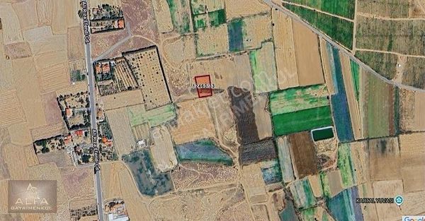 Muttalıp Koyunlar Mh. Tek Tapu 1.712 M2 Satılık Kelepir Tarla