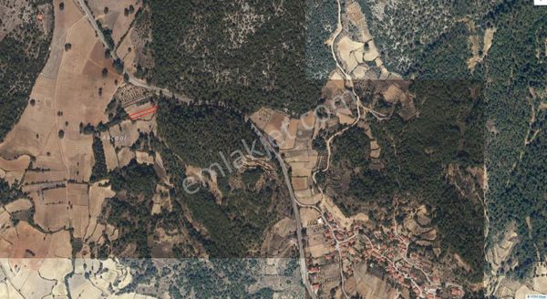 Denizova Mah Yola Yakın Yatırımlık Tarla