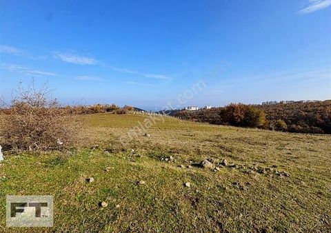 Ft Gayrimenkul Den Büyükoyumca Da Satılık Villalık Arsa