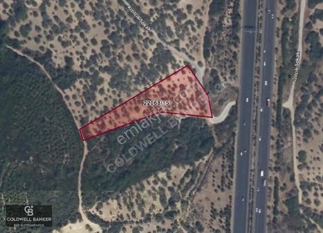 İzmir Bornova Gökdere'de Yatırımlık Tarla Ve Zeytinlik