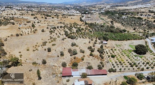 Urla Bademlerde 9.780 M² Yol Ve Yerleşime Yakın Satılık Tarla