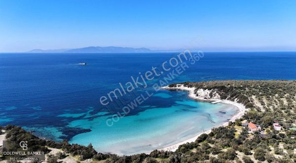 İzmir Bademli Yarım Ada İçinde Deniz Manzaralı Satılık Zeytinlik