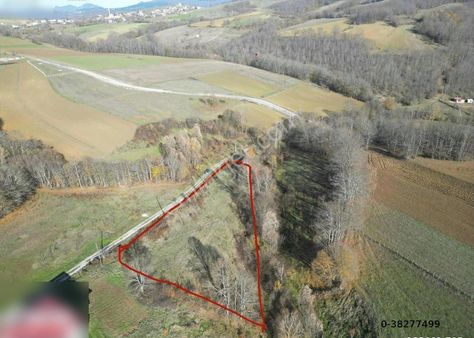 Ev Yapımına Uygun Tarla Kavak Çivril