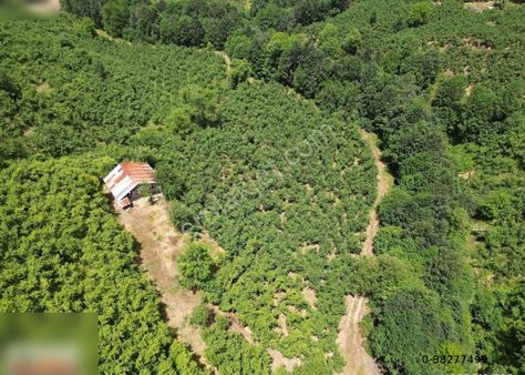 Atakum Eriklide 7612 M2 Tarla Ve İçerisinde Ev