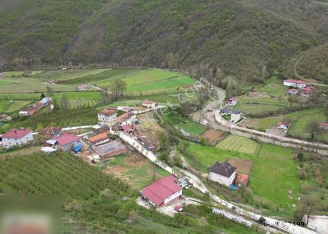 Acıl Cakallıda 4katlı Ev Arsa Ahır Acıl Satılık