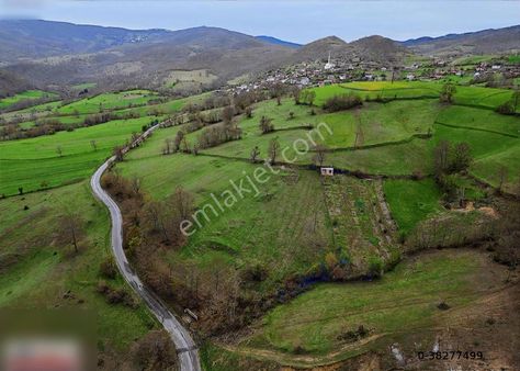 Kavak Karacalar Mah Fırsat Tarla