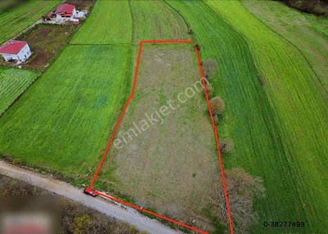 Kavak Saraykentte Harıka Manzara Yol Kenarı
