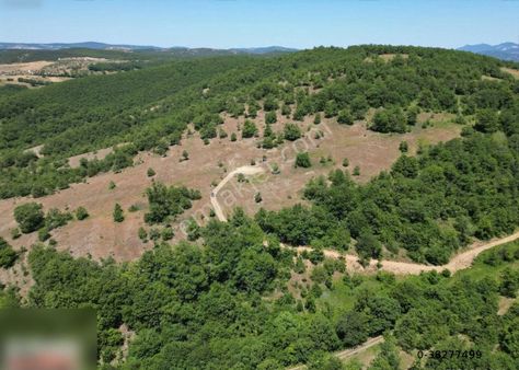 Kavak Agcakıse Koyu 41 Donum Yol Ulasım Var