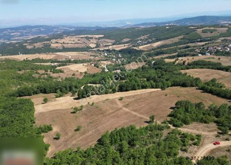 Kavak Akbelen De 6985m2 Tarla Satılıktır