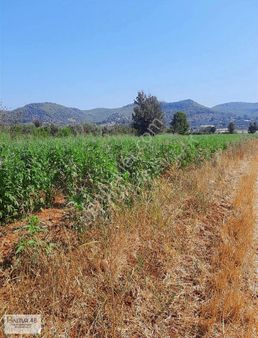 Kabaağaç Mh 5500 M2 Arazi