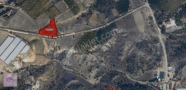 Violetten Satılık Bilecik İnhisar Nar Bahçesi