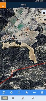 Denizli Sarayköyde Satılık Zeytinlik