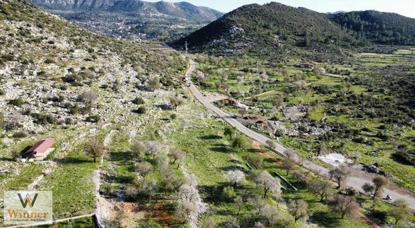 Winner- Söğüt'te Araç Yoluna Yakın+ M2 Fiyatı Uygun+fırsat Tarla