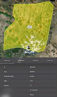 Denizli Bekilli Sırıklıda Fırsat Tarla 37 Dönüm Tarla