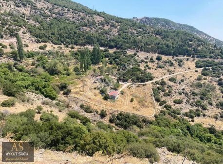 Bornova Eğridere Köyünde 500 Mt2 Bu Haftaya Özel