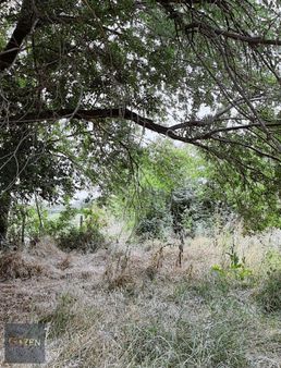 Gözen Emlak Güvencesiyle Umurluda Bahçeler