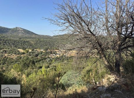 Kabaağaç 3 Adet Yapı Kayıt Belgeli Tarla