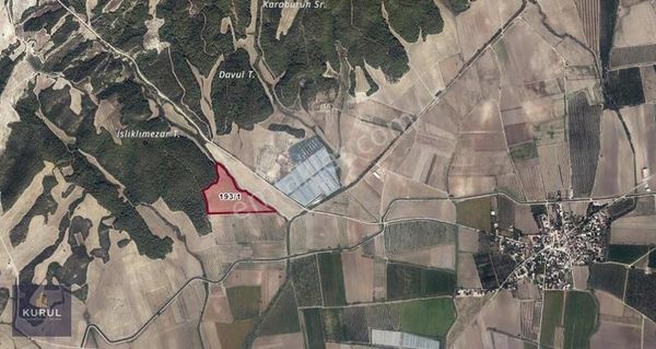 Kurul Gayrimenkulden Tek Parça Deveciuşağında Satılık Tarla