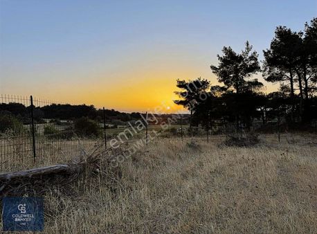 Çanakkale/bayramiç/ağaçköy Satılık Tarla/ Elektirik Su Var