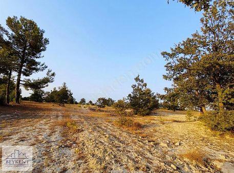 Beykentışıklı Köyü Satılık Arazi 7630 Metrekare Bitişik İki Tapu