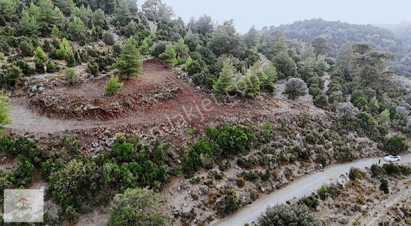 Fethiye Faralya Kırme Mevkiide 2759 M2 Müstakil Tarla