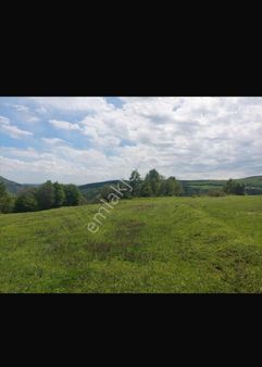 Benimde Toprağım Olsun Diyenlere