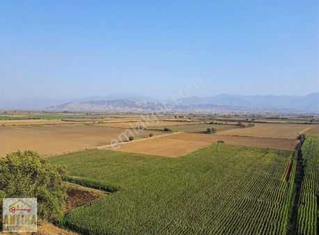 Antika Gayrimenkul'den Asfalt Kenarı Sulu Tarla