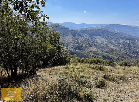 Deka Gayrimenkul'den Canik Yeniköy'de 17.471 M² Satılık Tarla