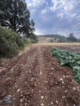 Muğla'da Denize 20 Dakika Satılık Arsa
