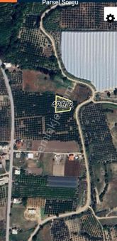 Taşağıl Da Satılık İmarlı Arsa