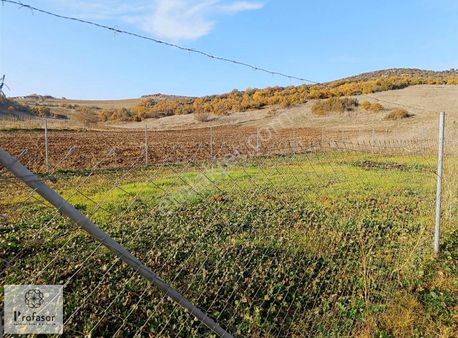 Kestel/soğuksu/281 M2