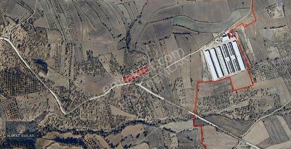 Bilecik Yenipazar Kükürt Köyü Ana Yola Sıfır