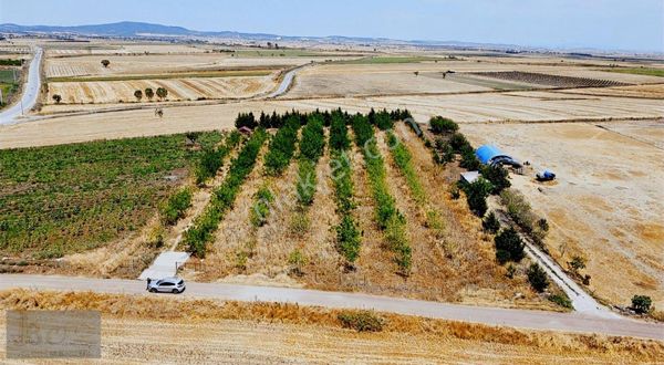 Çanakkale ︎biga ︎yeniçiflik Köyü Satılık Cevizlik Bahçesi