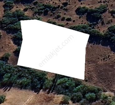 Balıkesir Kepsut Tuzak Acil Satılık 4.218 M2 Tarla