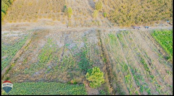 Remax Mavı Rıdvan Gedikten Ferizli Esentepede Satılık 2038 M2 Ta