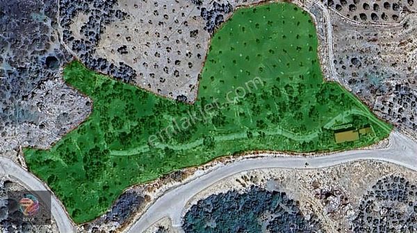 Söke Sazlıköy'de Bence Arsa Komşusu 11.771 M² Yatırımlık Arsa