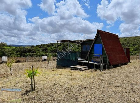 Bongolovlu Çevrili Dağyenice De Satlık Uygun Arsa