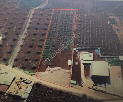 Ayyıldız Emlaktan 5.109 M2 Asvalt Yol Üzeri Sontajlı