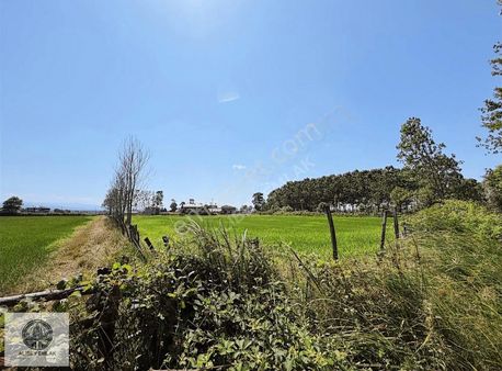 Alibey'den Terme Yalı Mahallesinde Satılık 1750m2 Arsa